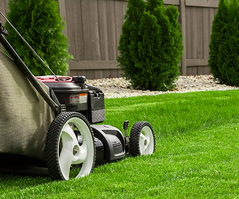 mowing instructions